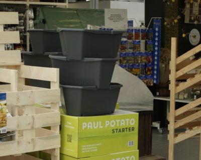 Paul Potato