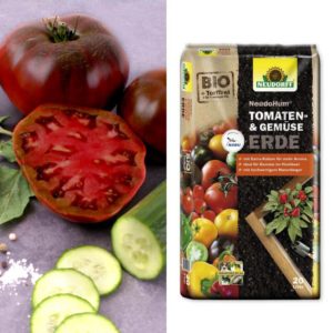 Tomaten + Erde