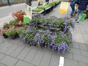 Blumenmarkt Mülheim