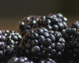 Brombeeren