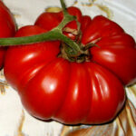Portugiesische Fleisch-Tomate